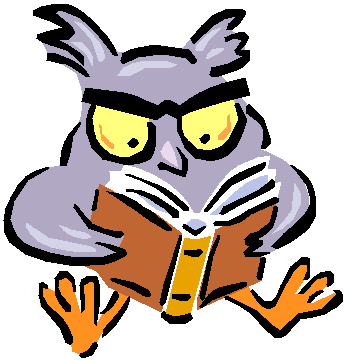 Owl Dude Studying